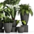 Elegant Indoor Plant Set 3D model small image 3