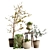 Indoor Plant Variety Pack 3D model small image 4