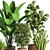 Ultimate Indoor Plant Collection 3D model small image 4