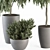 265-Piece Indoor Plant Set: Potted Greenery Galore 3D model small image 4