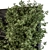 Wall-mounted Ivy Plant Set 3D model small image 4