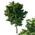 Acer Rubrum Green 02 - Stunning 3D Model 3D model small image 1