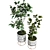 Elegant Plant Vase Set 3D model small image 4