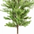 Exquisite Ginkgo Biloba Tree: Stunning 3D Model 3D model small image 3