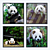 Panda Photo Frame Set | Modern Design 3D model small image 2