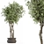 Majestic Outdoor Plant Set 3D model small image 2