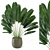 Outdoor Plants Set - Refresh Your Space 3D model small image 4