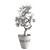 Elegant Indoor Tree: Max, fbx 3D model small image 2