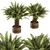 Tropical Oasis: Outdoor Plant Set 3D model small image 1