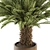 Tropical Oasis: Outdoor Plant Set 3D model small image 2