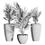 Tropical Vase Plant 3D Model 3D model small image 5