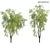 Weeping Willow Tree 3D Model 3D model small image 1