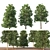 3 Pine Trees for Landscaping 3D model small image 1