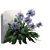 Elegant Agapanthus Wall Model 3D model small image 3