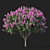 3D Crape Myrtle Tree with Flowers 3D model small image 3