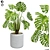 Botanical Bliss: Plant Collection 1 3D model small image 1