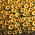 Sunflower Field Collection 3D model small image 1