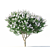 Lagerstroemia Tree: White Flowers 3D model small image 3