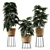 Elegant Bamboo Vase Plant 3D model small image 2