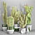 Decorative Cactus Vase | Indoor Plant 3D model small image 1