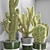 Decorative Cactus Vase | Indoor Plant 3D model small image 2