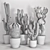 Decorative Cactus Vase | Indoor Plant 3D model small image 3