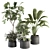 260 Indoor Plant Set - Pot Included 3D model small image 1