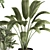 260 Indoor Plant Set - Pot Included 3D model small image 4