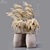 Desert Oasis: Dried Flora 3D model small image 1