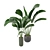 Green Fingers: Indoor Plants Set 3D model small image 4