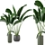 Green Fingers: Indoor Plants Set 3D model small image 5