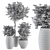 273 Indoor Plant Set - Pot Included 3D model small image 5