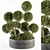 Elegant Topiary Ball Set 3D model small image 1