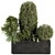 Outdoor Plant Collection 249 - Plant Box 3D model small image 1