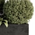 Outdoor Plant Collection 249 - Plant Box 3D model small image 4