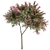 Crape Myrtle Tree Set: 50 Blooming Beauties! 3D model small image 1