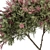 Crape Myrtle Tree Set: 50 Blooming Beauties! 3D model small image 2