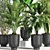 Modern Indoor Plant Set 07 3D model small image 5