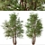 Water Birch Trees - Set of 2 3D model small image 3