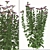 Lush Tatarian Aster Quartet: 4 Vibrant Flowering Plants 3D model small image 4