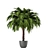 Lush Outdoor Plant Collection 3D model small image 1