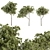 Petite Fringe Tree Set 49 3D model small image 1
