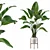 Exotic Strelitzia: Plants Collection 111 3D model small image 1