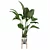 Exotic Strelitzia: Plants Collection 111 3D model small image 3