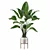 Exotic Strelitzia: Plants Collection 111 3D model small image 5