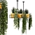 Metal Box Hanging Indoor Plants - Set of 210 3D model small image 1