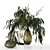 Green Elegance Bouquet: Glass Vases, Grass, and Eucalyptus 3D model small image 2