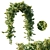 Virginia_Creeper_05: Detailed 3D Plant Model 3D model small image 1