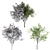 Evergreen Elm Tree Trio 3D model small image 3