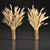 Rustic Wheat Spikelet Bouquet 3D model small image 4